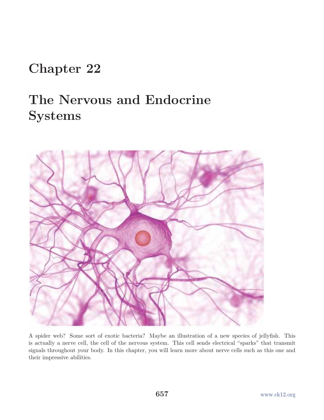 Biology Chapter22